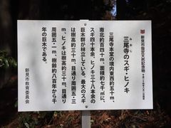 �������̎O�����ւ̓��e�ʐ^1