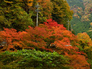 ɂ̑匌kJ̍gt̓eʐ^2