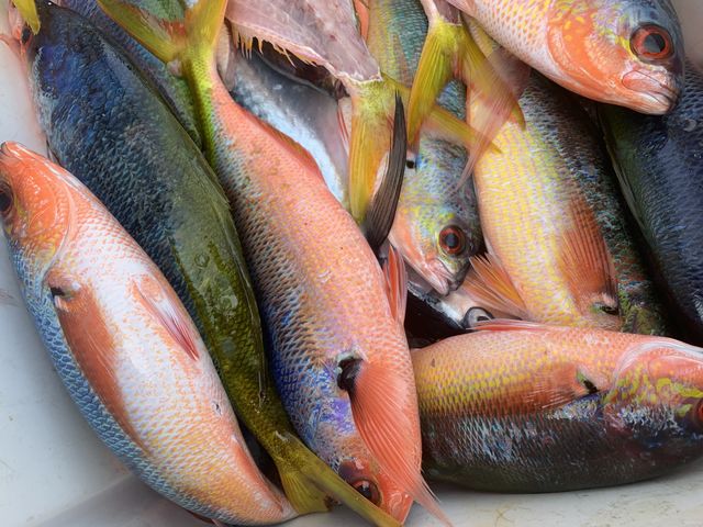 ����Ȃɒނꂽ��喞���I�I_�����ނ�DAQUA