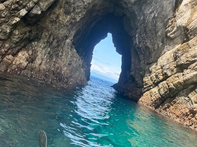 ���āI���̓����x�̍������C_���ɓ��E�c�q�J���b�N�Z���^�[SeaFan�`�V�[�t�@���`