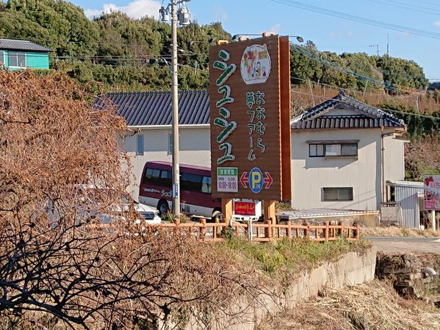 呺s@ނ疲t@[@VV_ނ疲t@[@VV