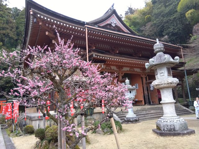 竹生島宝厳寺弁才天堂】アクセス・営業時間・料金情報 - じゃらんnet