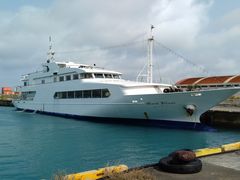 ̃xCN[YE{Ó@uւ̓eʐ^1