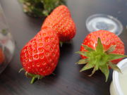 ^kL̂ICHIJYUt[ct@[̓eʐ^5