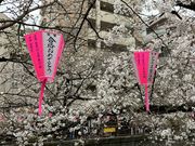 harusu̖ڍi؁j̓eʐ^2