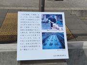 ǂ肳̍j՗(j՗E򎛐ՃKC_X{)̓eʐ^5