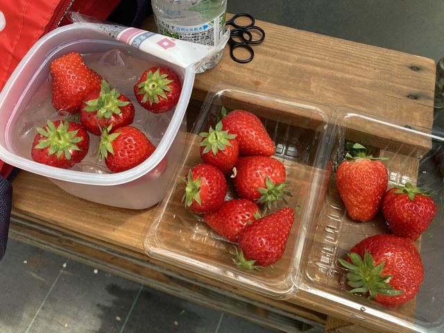 ���ɂ��C�ɓ��肾�����t�x���[(�E)�Ƃ������(��)�����݂ɂ��������܂���_�t�̐X �Ȃ��� village