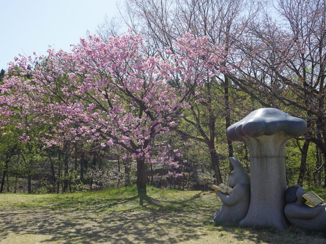 ̃IuWFHXɒuĂ܂_{ԉ̍