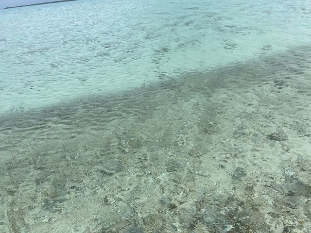 ���̓�_�u���[���O�[���Ί_��