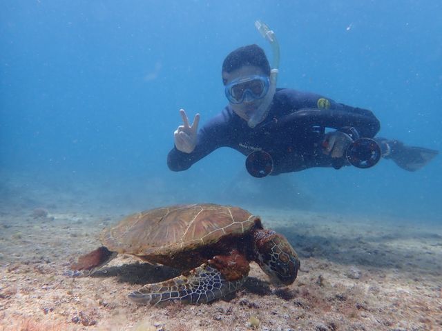 E~K܂I_marine assist DEMI