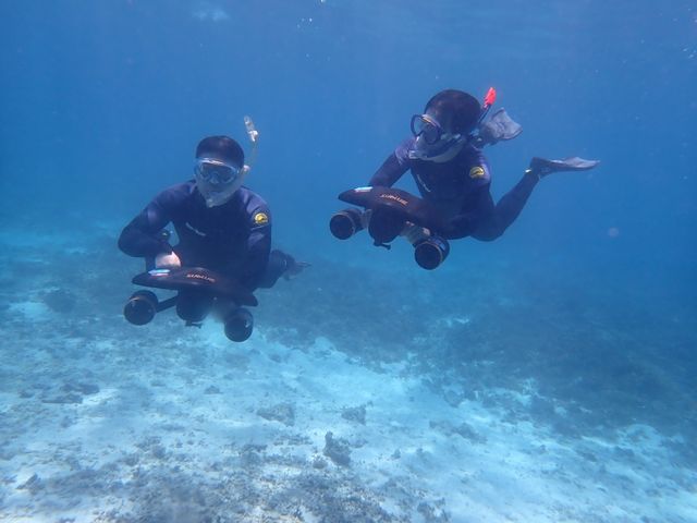 XN[^ōI_marine assist DEMI