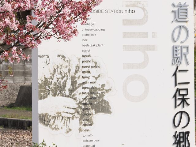 ���̉w�Ŕ�_���̉w �m�ۂ̋�