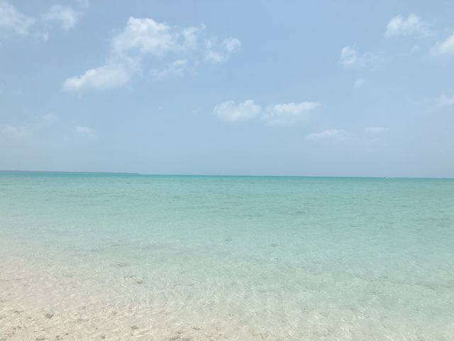 �C�̓����x���V�����x��_�}�������W���[�V�����M