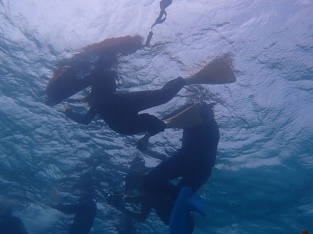 �߂��Ⴍ����y���߂��I_���S�Ґ��_�C�r���O�X�N�[�����܂�