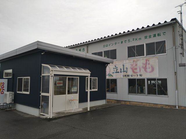 ������_�_���g���@�l�@���Ă�܉c�_�g��