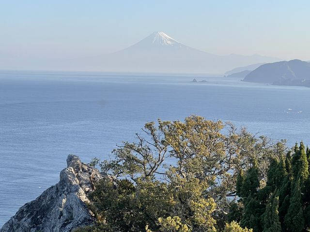 �����ŕx�m�R��_�߂Ă͂����܂���B���C�������������B_��Ԑ_��