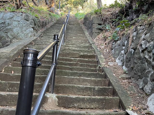 ���Ȃ肫���K�i�ł����A���H�O�ɓo��Ȃ炢���^���ɂȂ�܂��B_��Ԑ_��