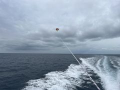Parasailing NOA̎ʐ^1