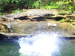 \ ADVENTURE PiPi̎ʐ^1