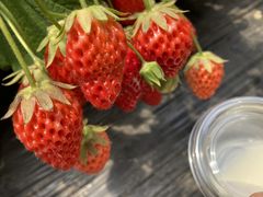 Ɂ[̂net@p[Ncafev\ւ̓eʐ^1