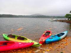 €̐Ί_h[όւ̓eʐ^1