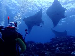 Naru�����OG DIVE SERVICE�ւ̓��e�ʐ^1