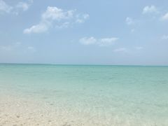 mikã}W[VMւ̓eʐ^1