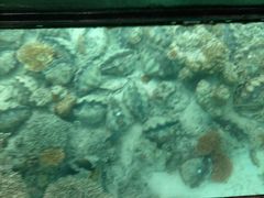 yK̂܂͂邭ւ̓eʐ^1