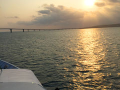 nekonekõxCN[YE{Ó@uւ̓eʐ^1