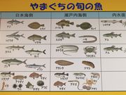 Ƃ񂳂̐VznhЍLioj̓eʐ^2