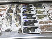 Ƃ񂳂̓̉w ֊C̓eʐ^5