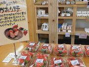 Ƃ񂳂̓̉w mۂ̋̓eʐ^6