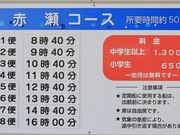 Ƃ񂳂̐CόDē̓eʐ^3