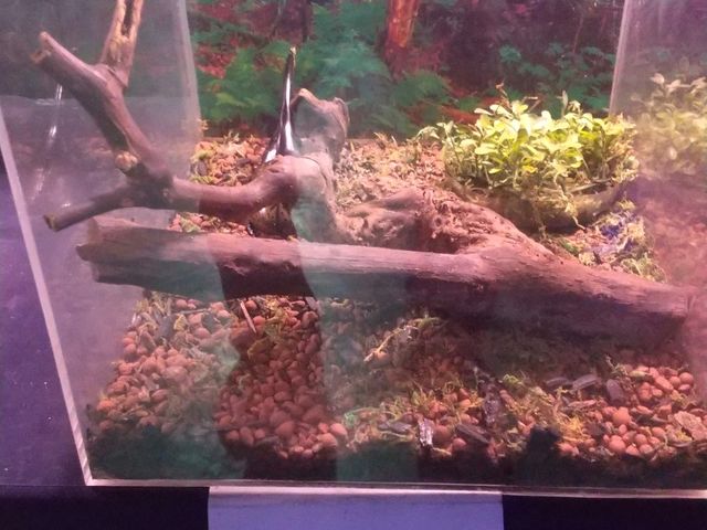 �ٓ�3_�r�[�g�����[���h