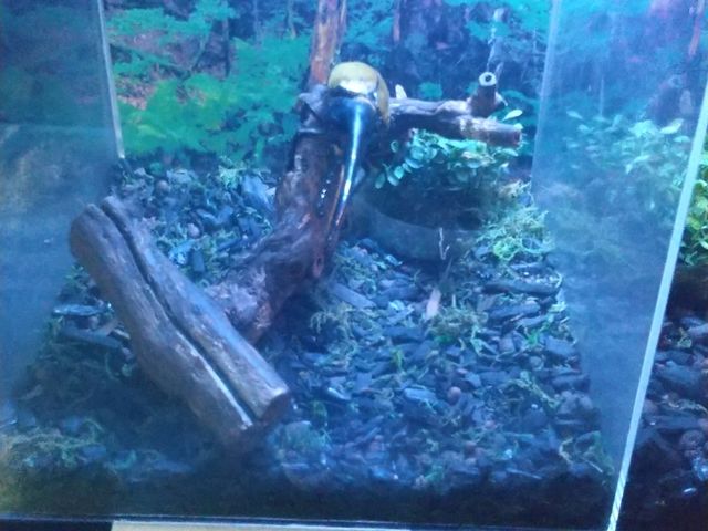 �ٓ�2_�r�[�g�����[���h