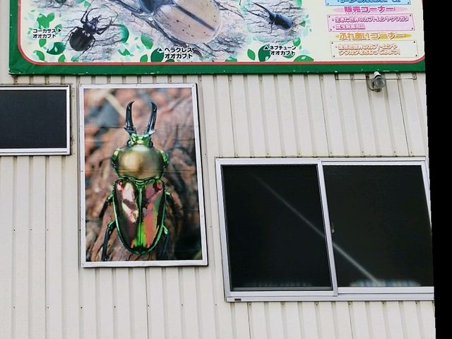 ������t��2_�r�[�g�����[���h