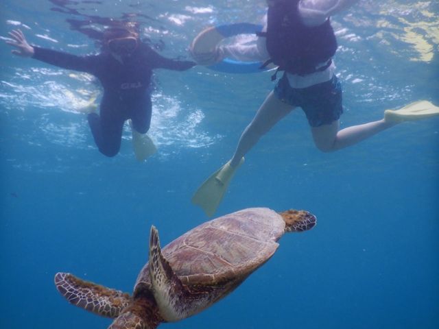 �E�~�K���ƈꏏ�Ɂ�_SEA ENJOY
