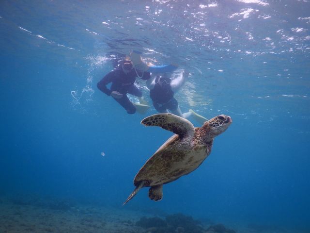 �E�~�K���ƈꏏ�Ɂ�_SEA ENJOY