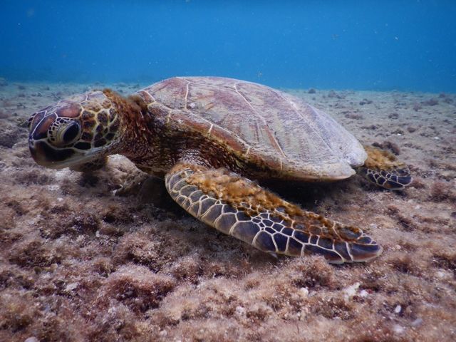 �A�I�E�~�K��_SEA ENJOY