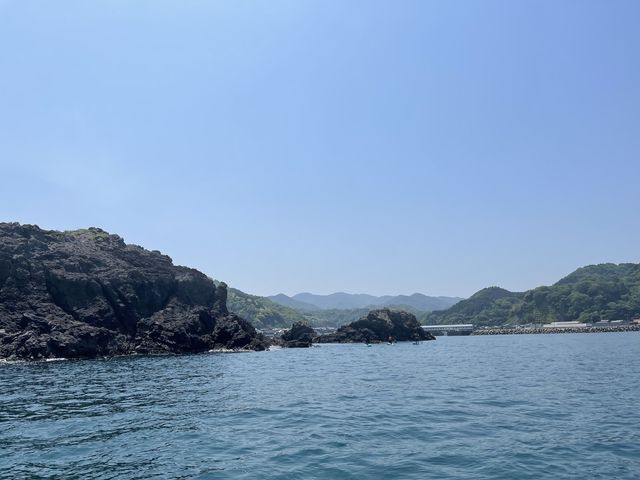 �Y��ȊC_�W�Isen.s