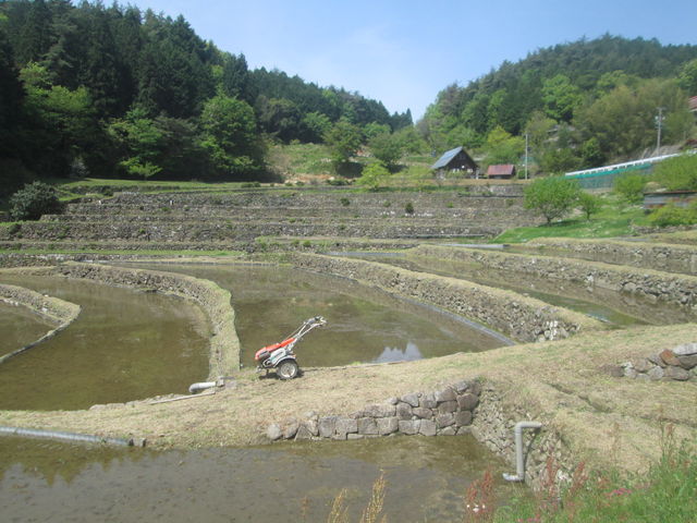 k_bNNo2̏cIci{̒IcSIESÒj̓eʐ^1