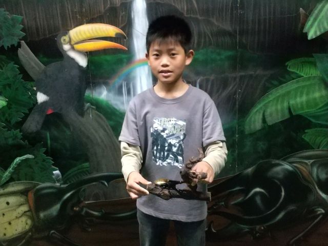 �J�u�g���V�ƃc�[�V���b�g���q_�r�[�g�����[���h