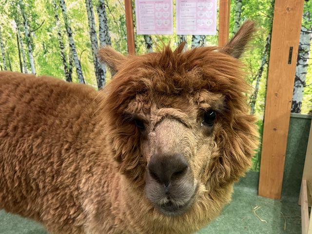 �G�T�����˂���_�A���p�J�ӂꂠ�������h