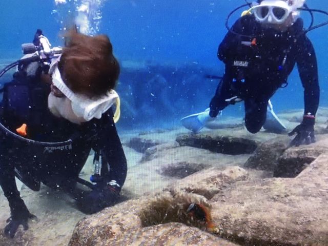 ���܂݂̂ƃC�\�M���`���N_���Ⴑ����