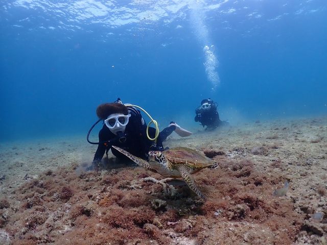 �E�~�K���Ɖj��1_���Ⴑ����