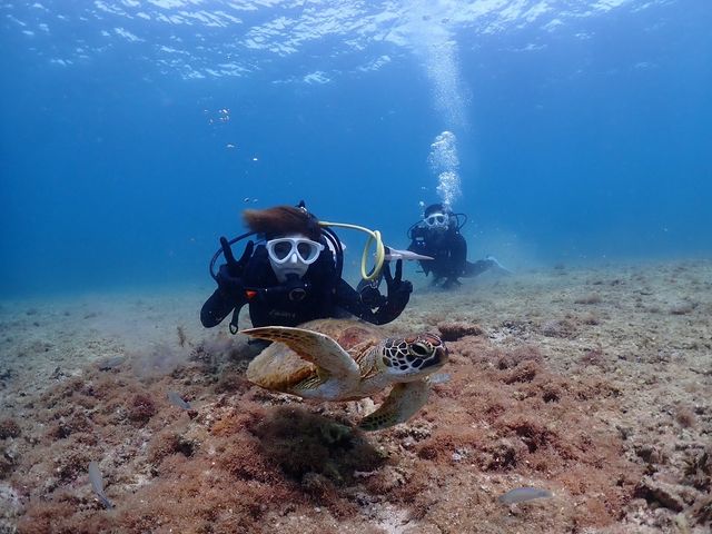 �E�~�K���Ɖj��2_���Ⴑ����