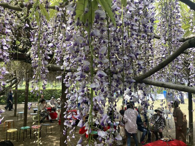 ���̓��͂ӂ��Ղ�_�Z�_��