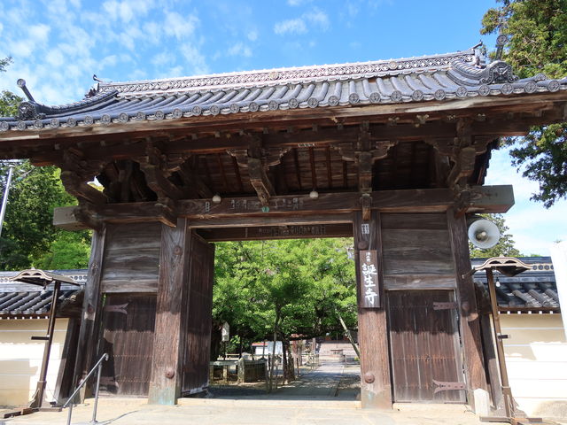 yosshy̒aiRvē쒬j̓eʐ^2