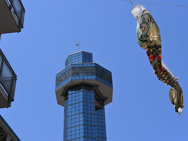 ���x�T���������̂Łu�����̂ڂ�v�����C�悭�j���ł��܂����B_���q�|�[�g�^���[