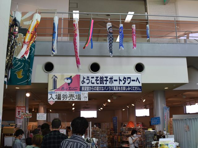 �������̂f�v�B���X���G���Ă��܂����B_���q�|�[�g�^���[